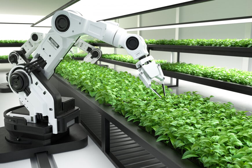 Essential Herb Farming Equipment Guide 2026: Smart Tech and Traditional Tools for Maximum ROI