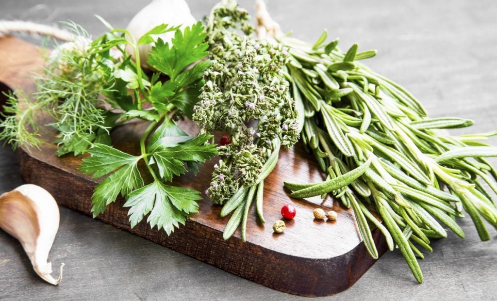 how to start herb business