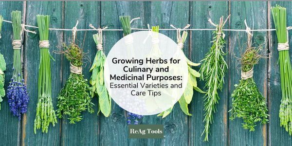 profitable herbs to grow