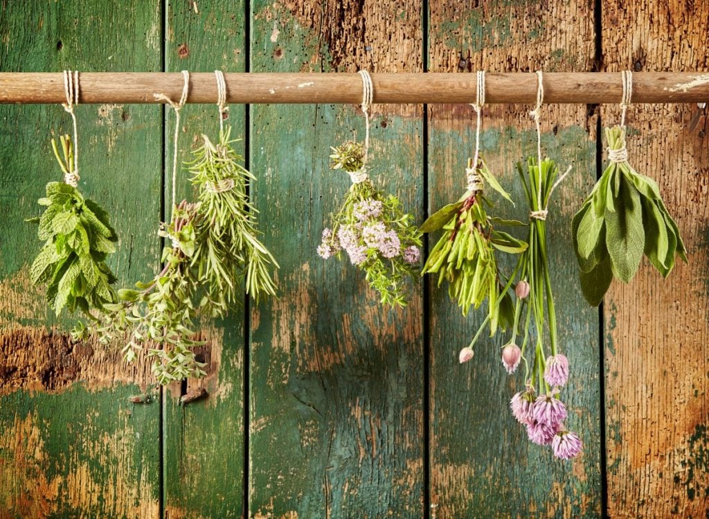 how to start herb business