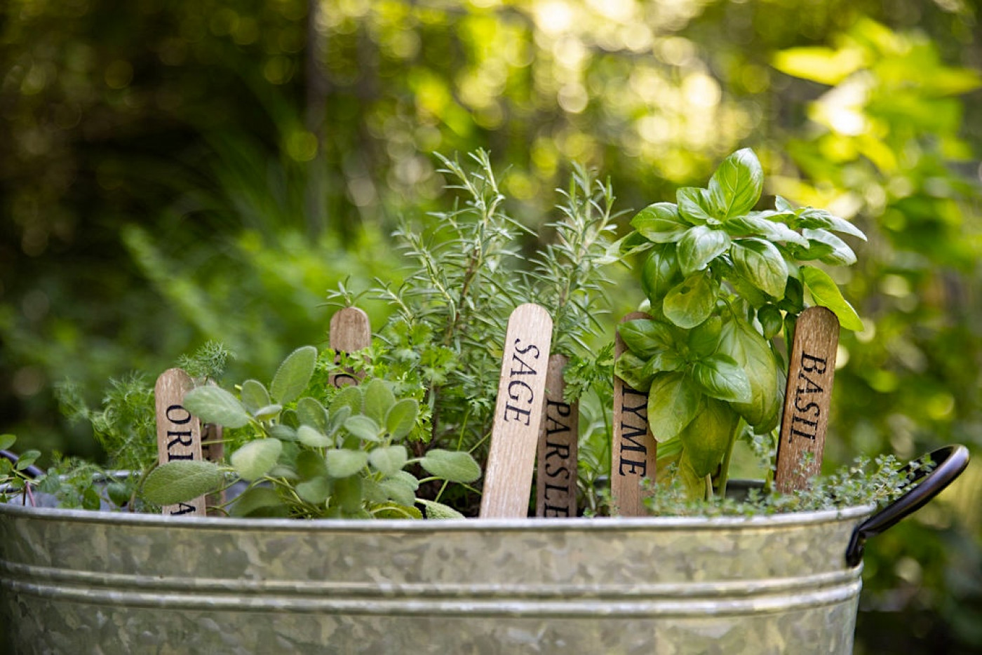 How to Start an Herb Business: A Step-by-Step Guide