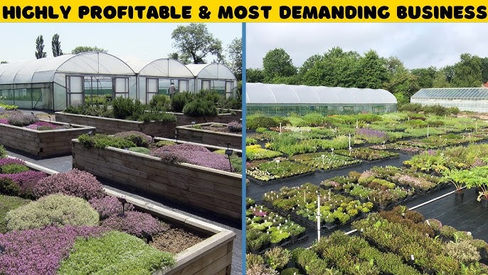 How to Start a Profitable Herb Business in 2026: Complete Step-by-Step Guide for Beginners
