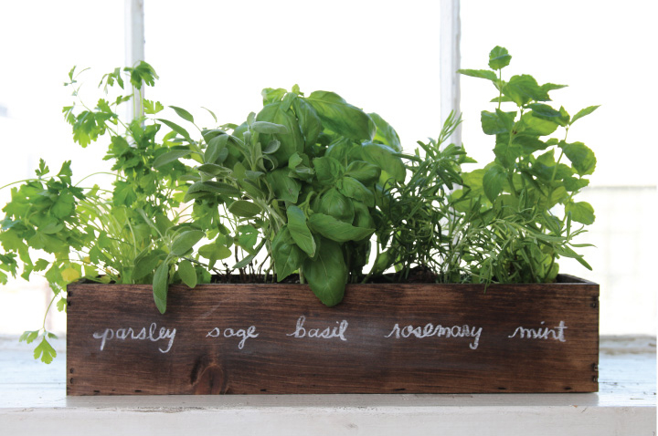how to start herb business