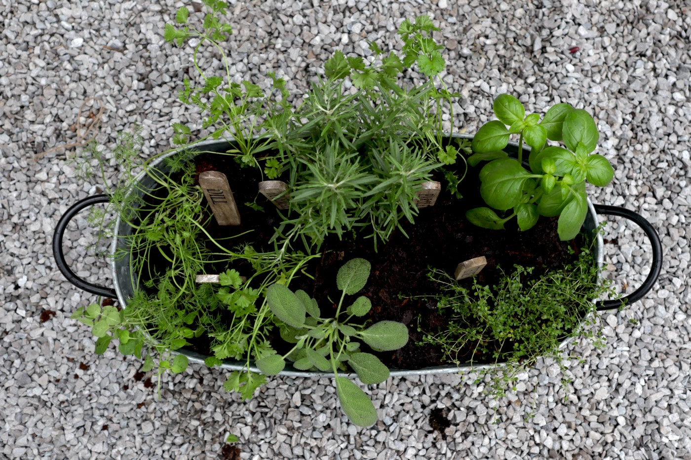 how to start herb business