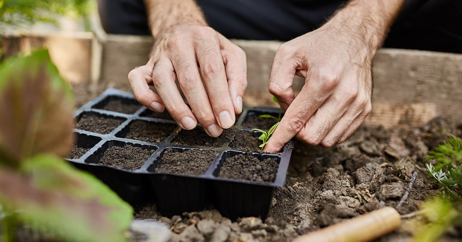 how to start herb business