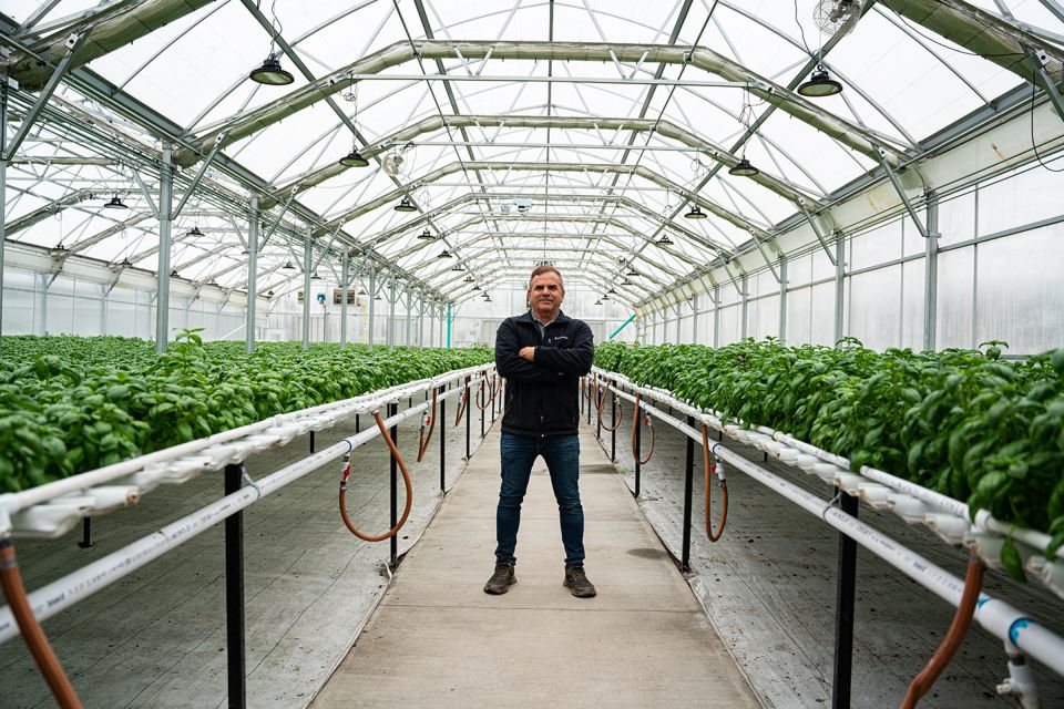 How to Start a Profitable Herb Business in 2026: Complete Beginner's Guide to Commercial Herb Growing