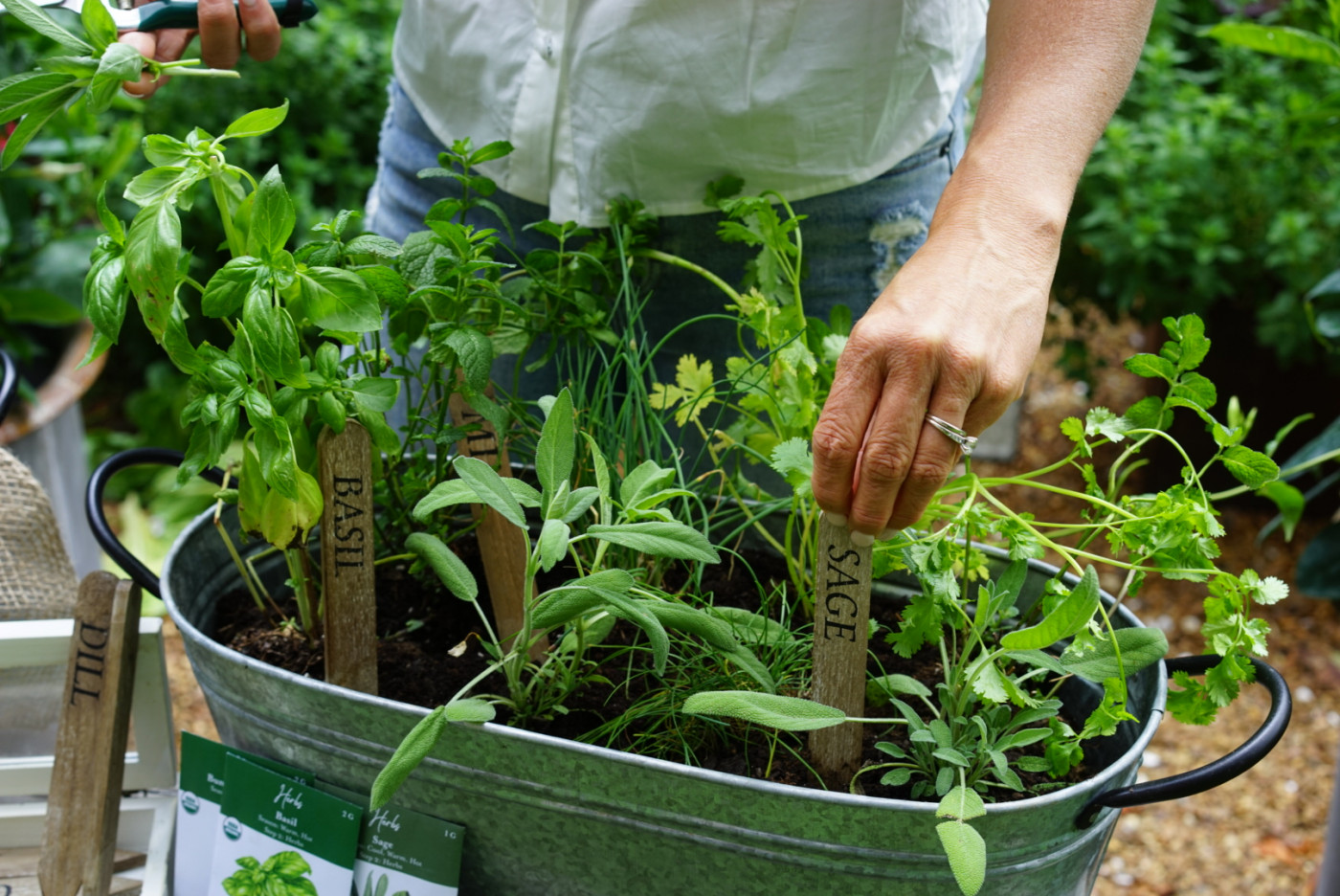 How to Start an Herb Business: A Low-Cost Commercial Guide