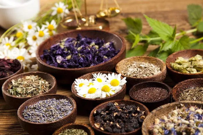 ’s 5 Profitable Herbs to Grow