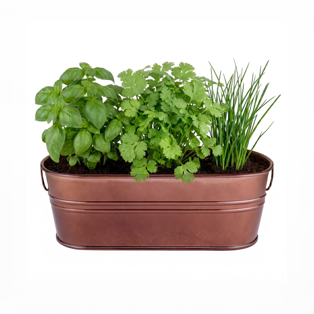how to start herb business