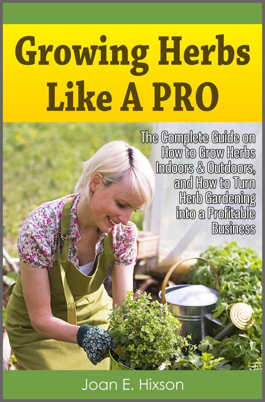 how to start herb business