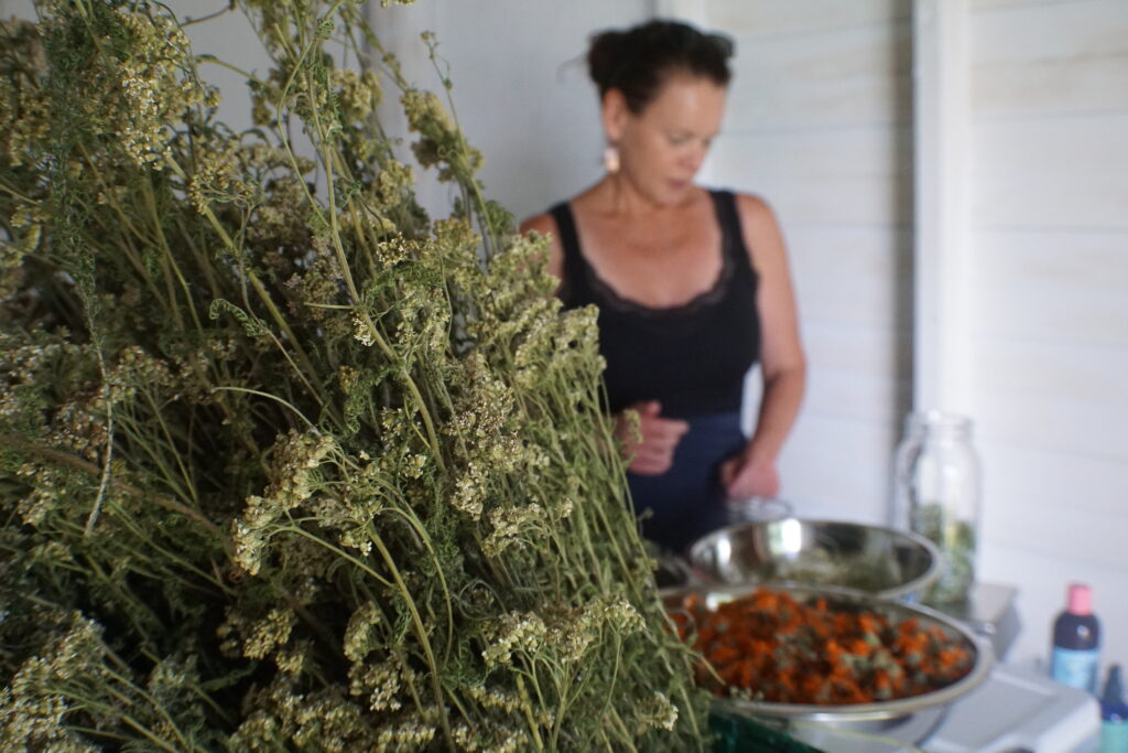 profitable herbs to grow