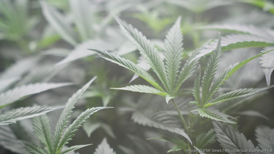 how to start herb business