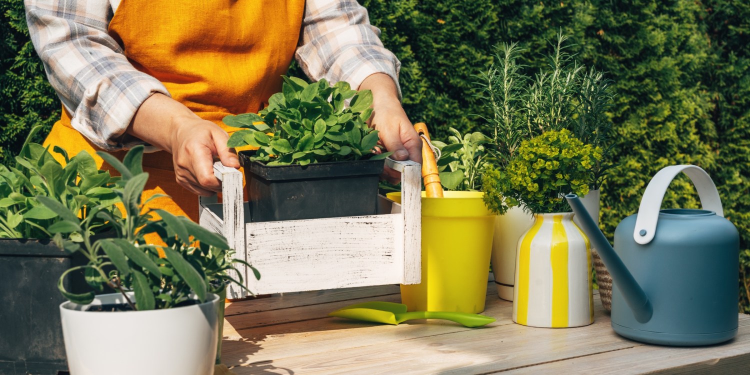 profitable herbs to grow