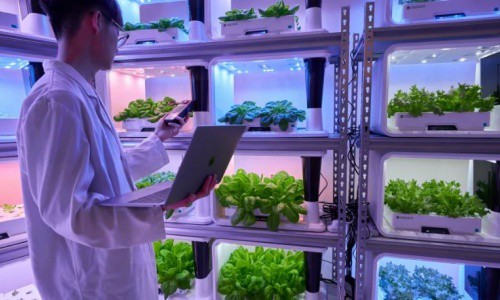 Essential Herb Farming Equipment Guide 2026: Smart Tech for Maximum Yield