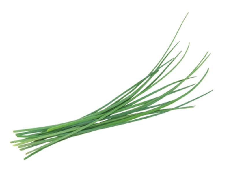 Fresh Chives Bundle