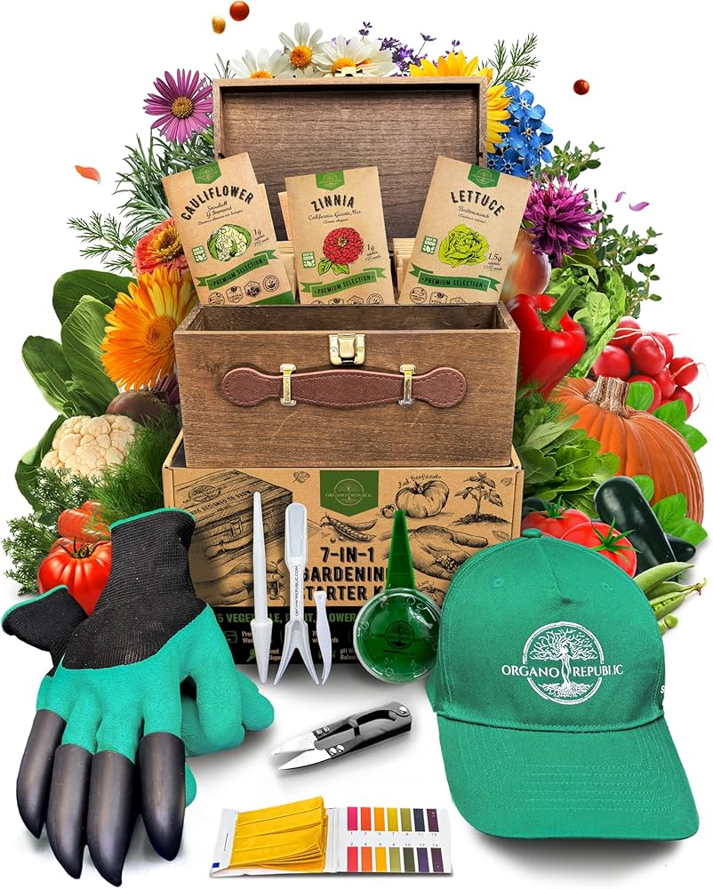 Medicinal Herb Starter Bundle